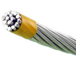 Konkurrenzfähiger Preis 1/0AWG 2/0 der guten Qualität AWG-Lehrealuminiumleiter Insulated Cable