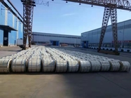 Luoyang Fertigwarequalität AAAC aller Aluminiumlegierungs-Leiter 6201 Kairo 397.5mcm